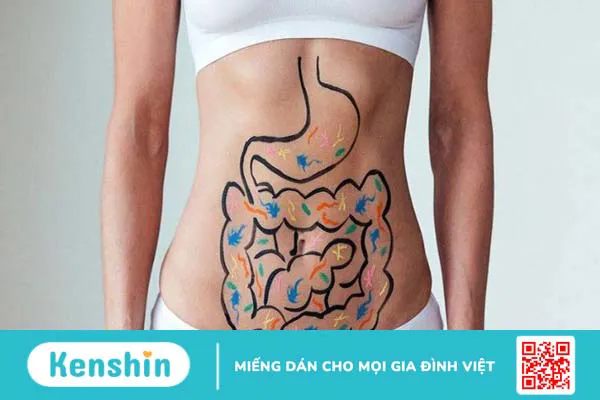 Nha đam có tác dụng gì? 11 công dụng của nha đam với sức khoẻ và da