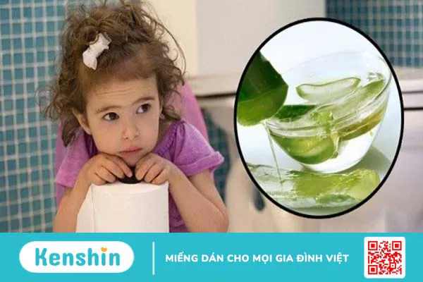 Nha đam có tác dụng gì? 11 công dụng của nha đam với sức khoẻ và da