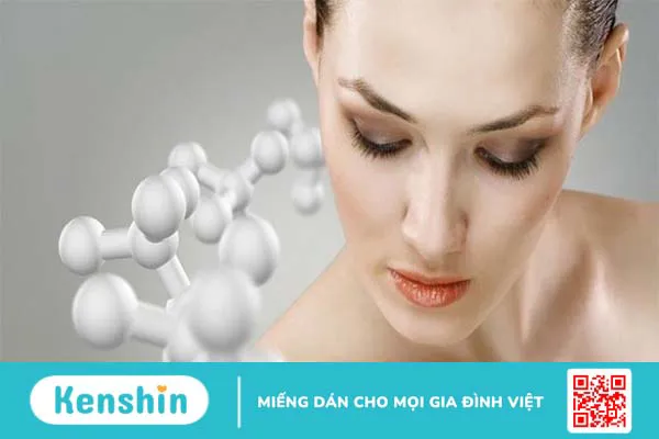 Nha đam có tác dụng gì? 11 công dụng của nha đam với sức khoẻ và da