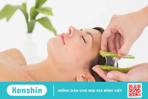 Nha đam có tác dụng gì? 11 công dụng của nha đam với sức khoẻ và da