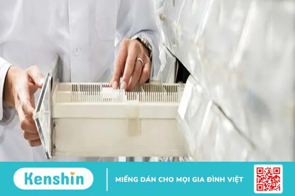 Nhà sản xuất Legosan AB của nước nào? Các sản phẩm nổi bật