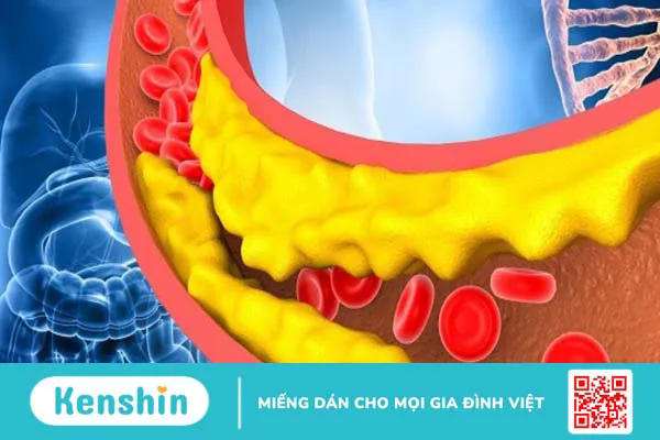 Nhân sâm có tác dụng gì? 12 tác dụng của nhân sâm đối với sức khỏe