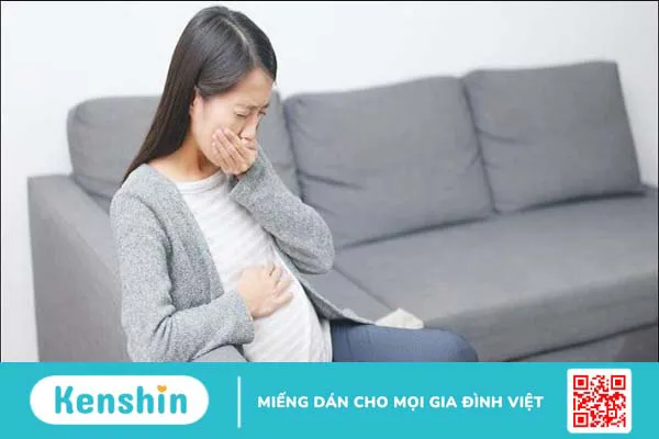 Nhân sâm có tác dụng gì? 12 tác dụng của nhân sâm đối với sức khỏe