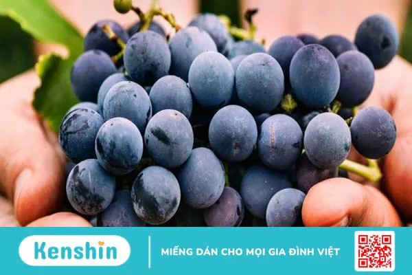 Nho bao nhiêu calo? Ăn nho có béo không? Cách ăn nho giảm cân và lưu ý