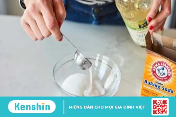 Những cách diệt gián Đức bằng nguyên liệu tự nhiên đơn giản tại nhà