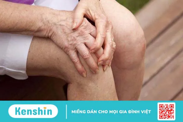 Nhung hươu: tác dụng, cách dùng và lưu ý khi sử dụng