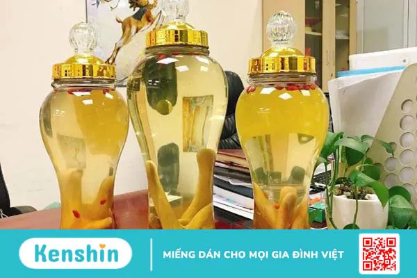 Nhung hươu: tác dụng, cách dùng và lưu ý khi sử dụng