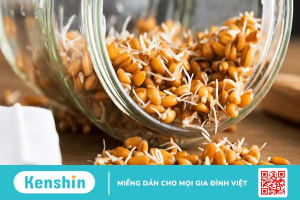 Những loại thực phẩm giàu Choline