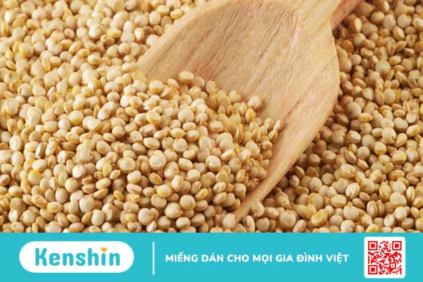 Những loại thực phẩm giàu Choline