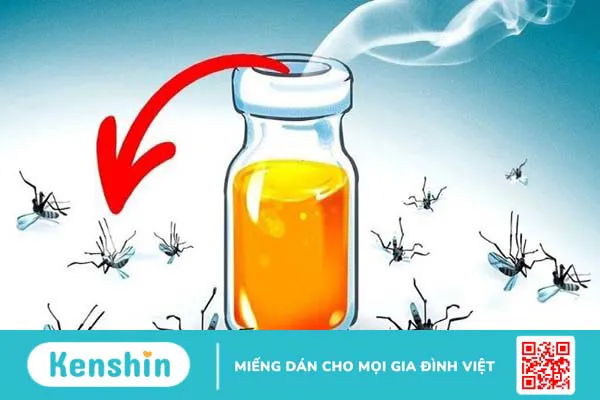 Những lợi ích bất ngờ của dầu bạch đàn