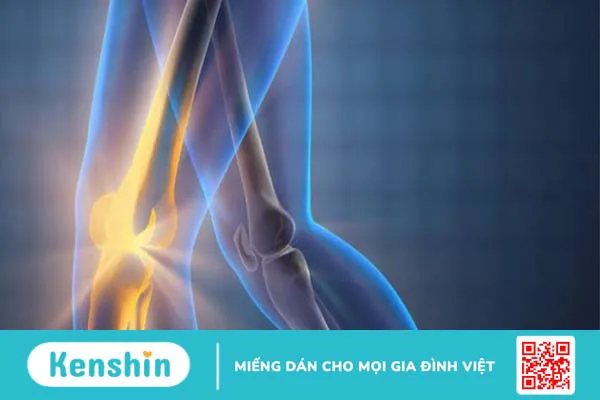 Những lợi ích bất ngờ của dầu bạch đàn