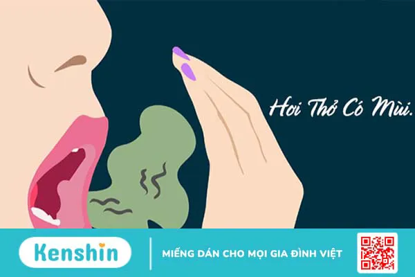 Những lợi ích bất ngờ của dầu bạch đàn