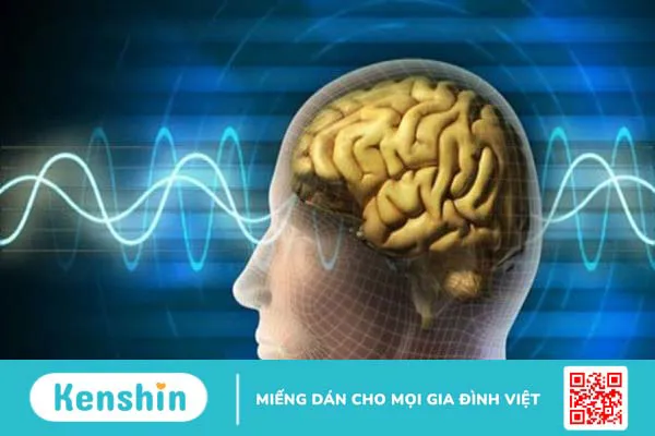 Những lợi ích bất ngờ của dầu bạch đàn