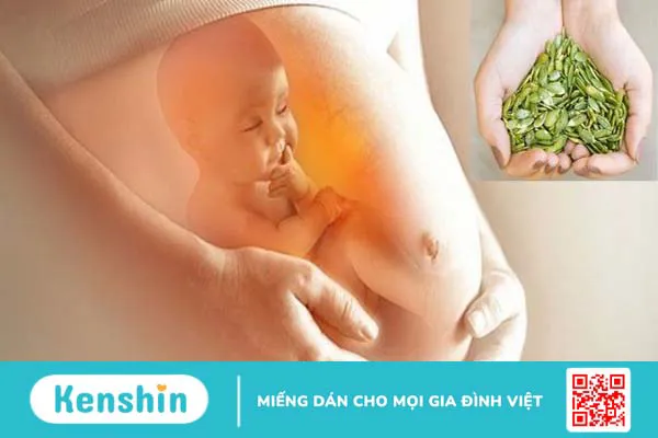 Những lợi ích của hạt bí ngô với phụ nữ mang thai