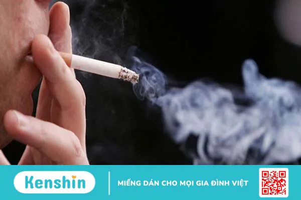 Nước ép trái nhàu: Thành phần dinh dưỡng, lợi ích, liều dùng và tác dụng phụ