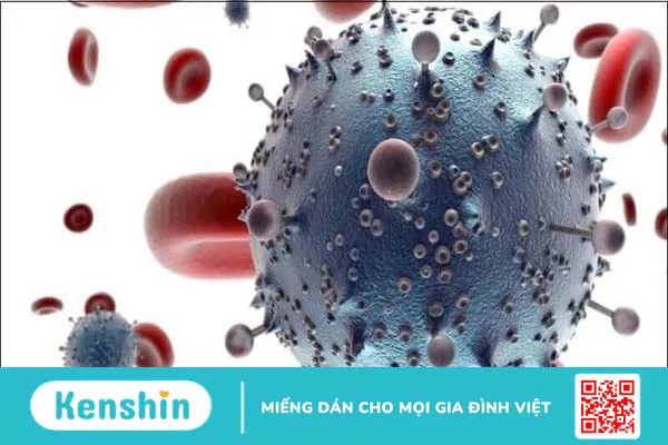 Nuốt tinh trùng có bị HIV không? Lợi ích và tác hại nuốt tinh trùng