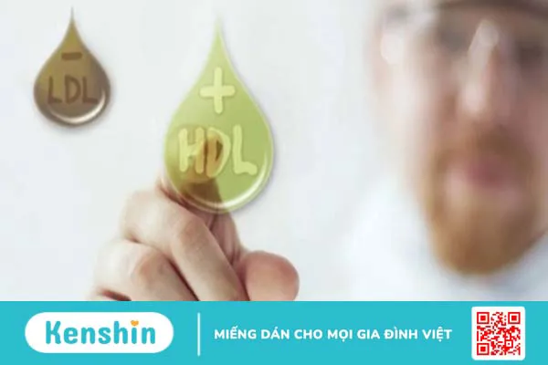 Omega 3 có tác dụng gì? 14 công dụng của Omega 3 có thể bạn chưa biết