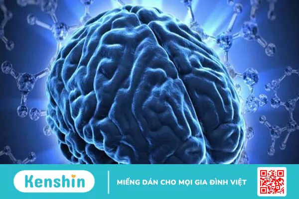 Omega 3 có tác dụng gì? 14 công dụng của Omega 3 có thể bạn chưa biết