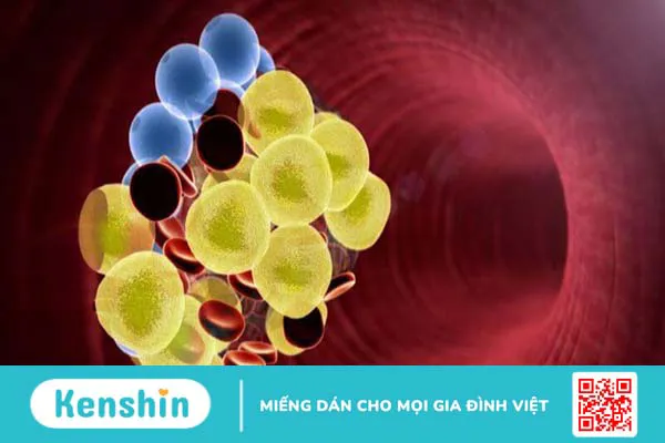 Omega 6 có giúp giảm nguy cơ mắc bệnh tiểu đường không?