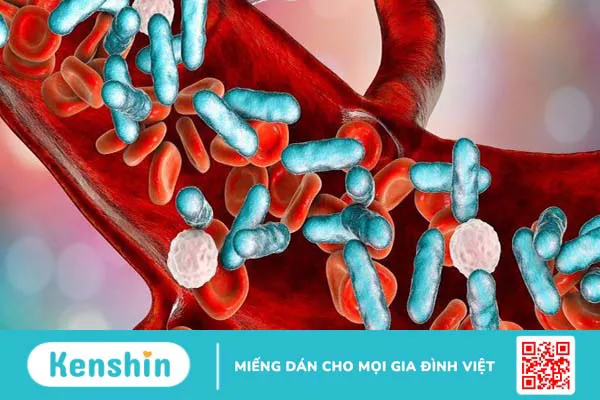 Omega 9 là gì? Tác dụng, cách dùng, thực phẩm chứa omega 9