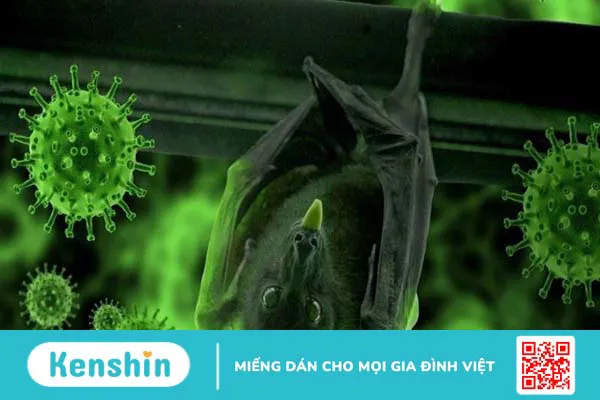 Phân biệt bệnh do virus Nipah với SARS-CoV-2 (COVID-19)