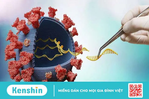 Phân biệt bệnh do virus Nipah với SARS-CoV-2 (COVID-19)