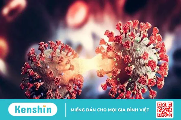 Phân biệt bệnh do virus Nipah với SARS-CoV-2 (COVID-19)