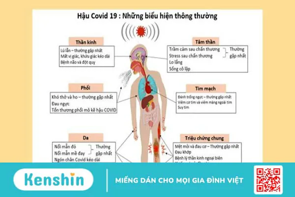 Phân biệt cúm mùa và Covid-19 như thế nào?