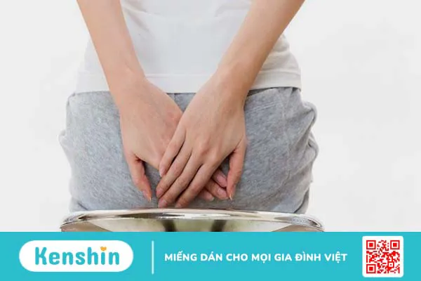 Phân biệt trĩ nội và trĩ ngoại