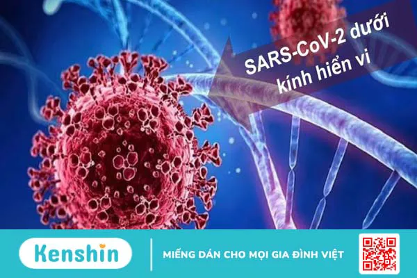 Phân biệt triệu chứng Covid-19 với cảm cúm, cảm lạnh như thế nào?