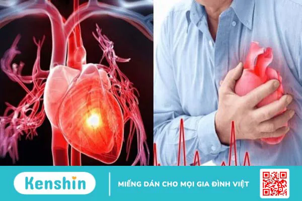 Phấn hoa mật ong có tác dụng gì? 11 công dụng của phấn hoa mật ong