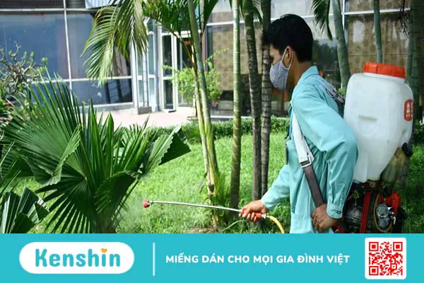 Phòng ngừa và điều trị bệnh Zika