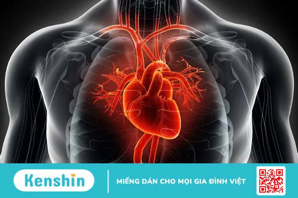 Phospho là gì? Tác dụng, cách dùng, tác dụng phụ cần biết