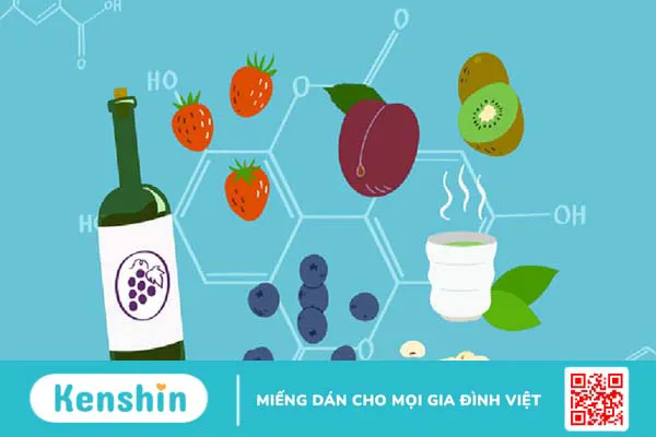 Polyphenol là gì?Tác dụng của polyphenol đối với sức khỏe