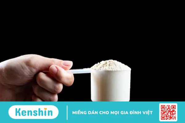 Protein thực vật khác whey protein như thế nào? Loại nào tốt hơn?