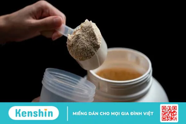 Protein thực vật khác whey protein như thế nào? Loại nào tốt hơn?