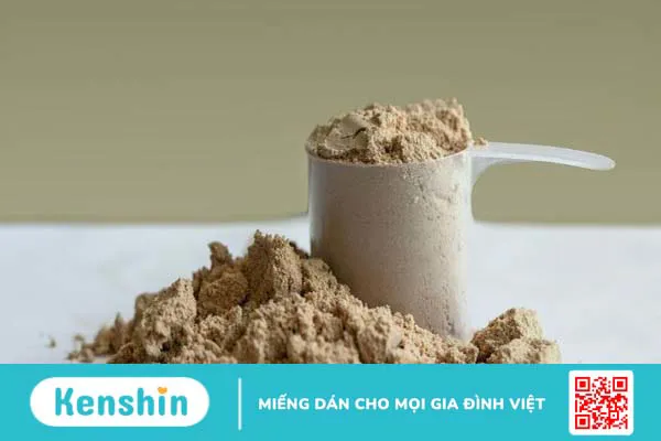 Protein thực vật khác whey protein như thế nào? Loại nào tốt hơn?