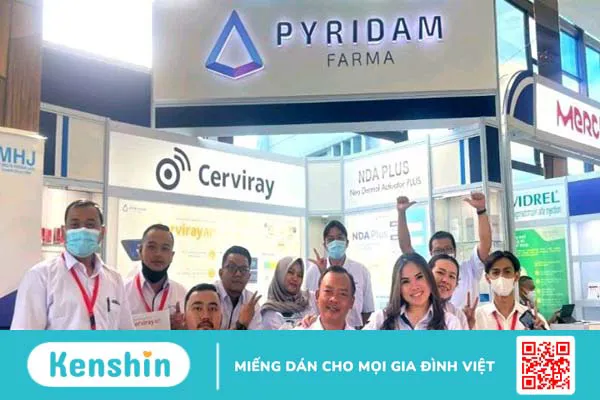 PT Pyridam Farma Tbk của nước nào? Có tốt không? Các dòng sản phẩm nổi bật