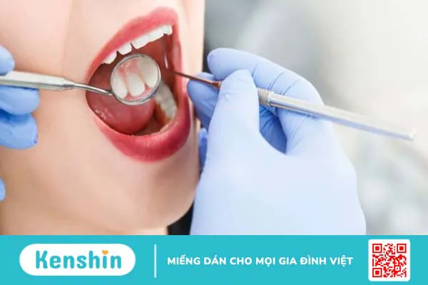 Quả cóc có tác dụng gì? 18 lợi ích sức khỏe của quả cóc