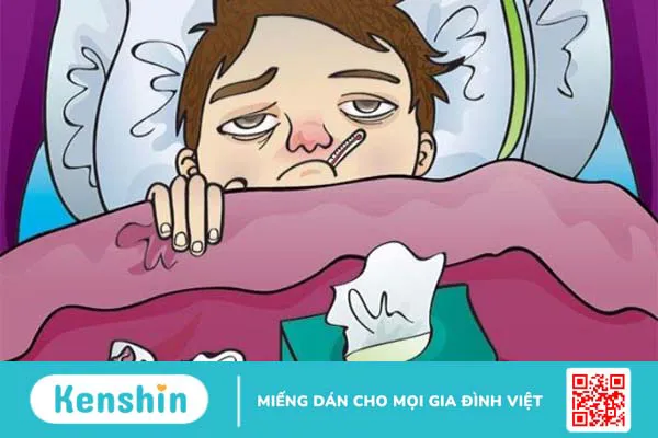 Quả cơm cháy chữa cảm cúm có hiệu quả không?