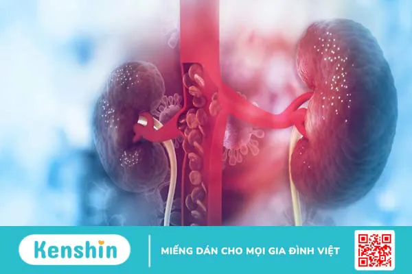 Quả la hán có tác dụng gì? 8 công dụng la hán quả bạn không nên bỏ qua