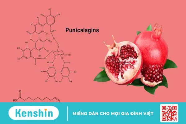 Quả lựu có tác dụng gì? 22 công dụng, lưu ý ăn lựu tốt cho sức khỏe