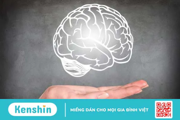 Quả lựu có tác dụng gì? 22 công dụng, lưu ý ăn lựu tốt cho sức khỏe