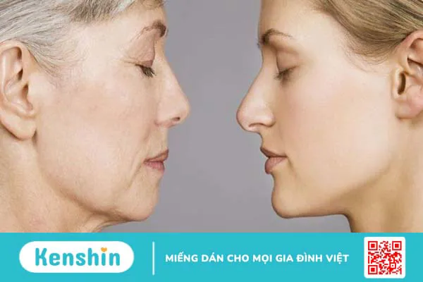 Quả tầm xuân: Nguồn gốc, thành phần, lợi ích và tác dụng phụ