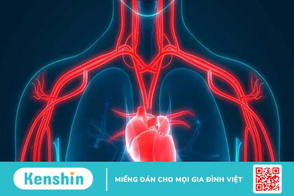 Quả tầm xuân: Nguồn gốc, thành phần, lợi ích và tác dụng phụ