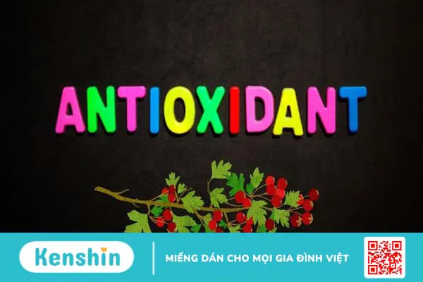 Quả táo gai là gì? 10 tác dụng của quả táo gai đối với sức khỏe bạn cần biết