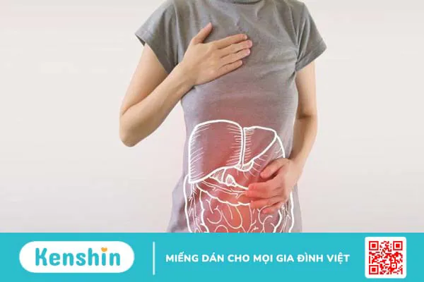 Quả táo gai là gì? 10 tác dụng của quả táo gai đối với sức khỏe bạn cần biết