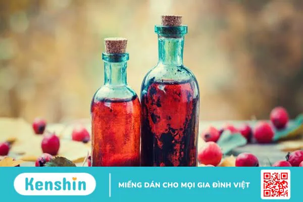 Quả táo gai là gì? 10 tác dụng của quả táo gai đối với sức khỏe bạn cần biết