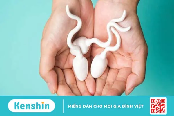 Quan hệ bao lâu thì thụ thai? 21 dấu hiệu mang thai sau 1 tuần quan hệ