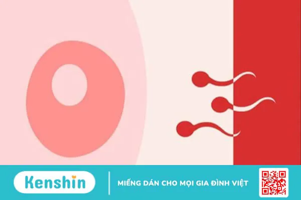 Quan hệ ngày đèn đỏ có hại không? 6 lợi ích và các lưu ý khi quan hệ